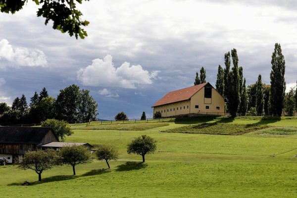 How do weather conditions affect the braking performance of your car?